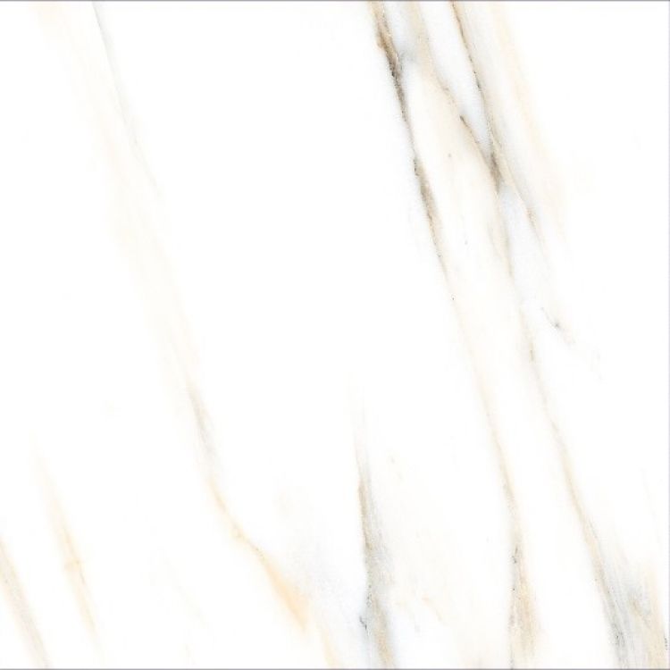 AGL Calacatta Gold Polished 24 x 24